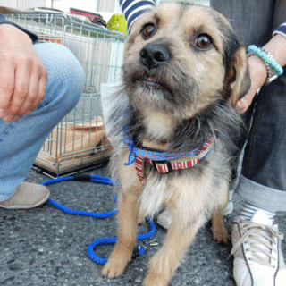 多頭飼育現場より、ミックです！