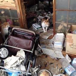 置き去り・・・加古川