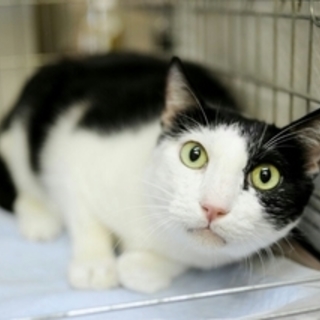 ピッチ✩人馴れ抜群