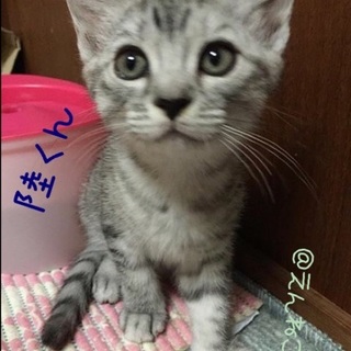 陸くん（仮名）3ヶ月の男の子