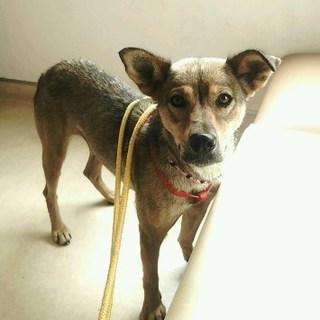 お利口さんの女の子♪