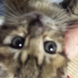 ありがとうございました！