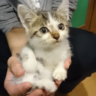 元気で可愛い女の子です