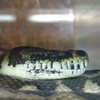 ありがとうございました❗