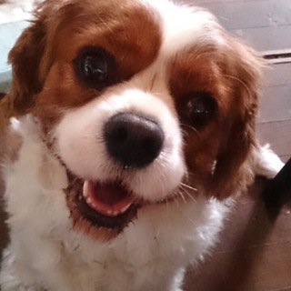 可愛がってくださる方募集してます☆