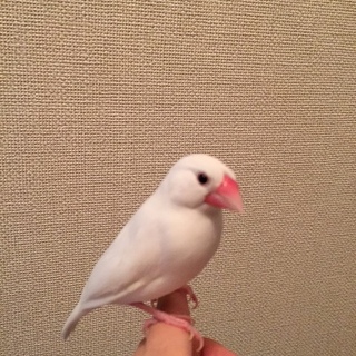 沢山のご応募ありがとうございました。