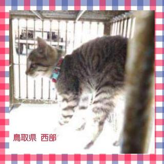 里親様がお迎えに来て下さいました