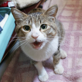 「面談予定」まるで女の子みたいな「ネル」くん☆