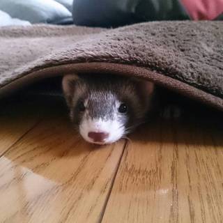 沢山の応募ありがとうございました(^^)