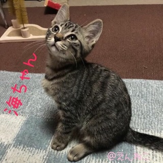 海ちゃん（仮名）４ヶ月の女の子