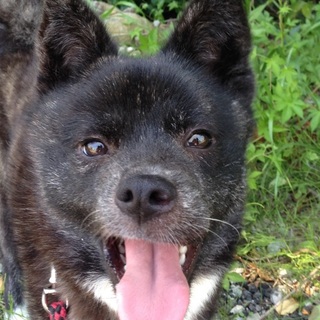 奇形の鼻がチャームポイント！人を前向きに　あさ