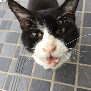 人馴れ抜群の子です。