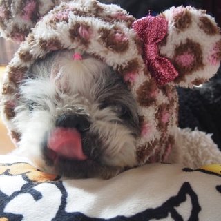 仮名：金太郎　温厚で穏やか