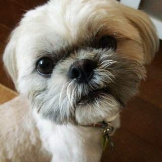 仮名：らんまる　　甘えん坊