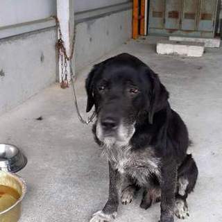 この子の命を救ってください。