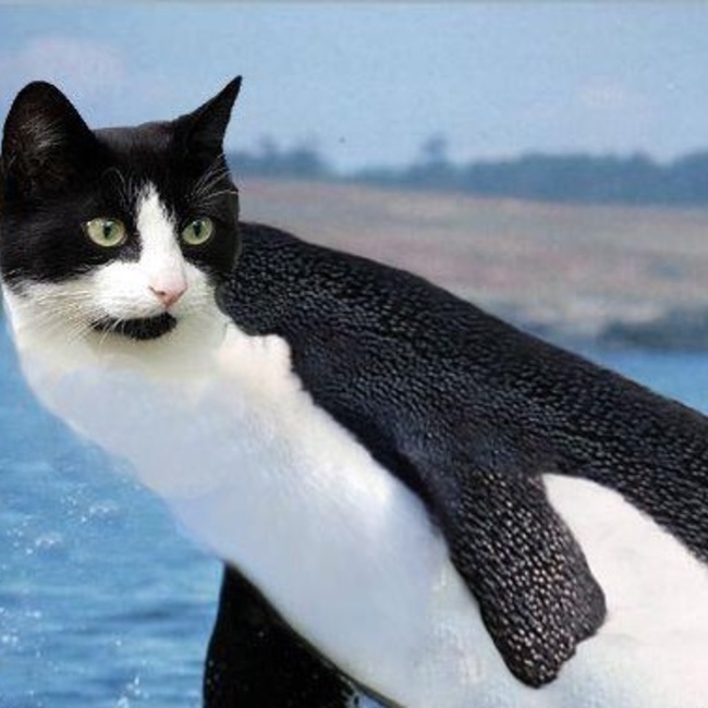 なまもの_Mk2のカバー写真