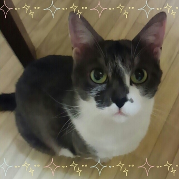 マリーさん３歳