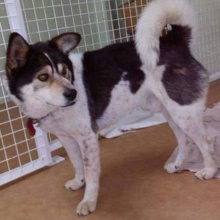 トライアルになりました。有り難うございます