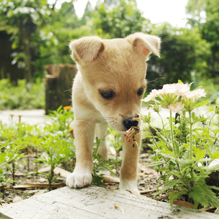 可愛い、可愛いマホちゃん☆♀
