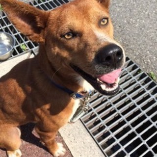 甘えん坊な男の子