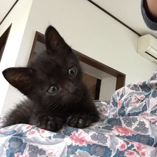 宜しくお願いします<(_ _)>