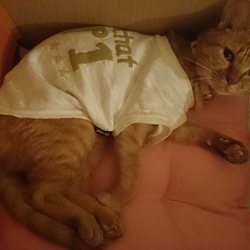 お前のものは俺のもの！