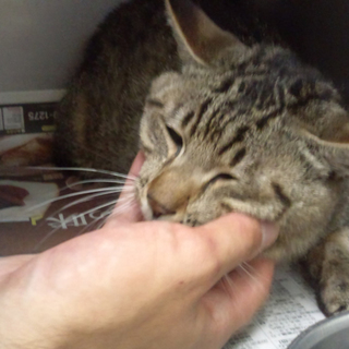 １９日、里親様と卒業しました、皆様ありがとう