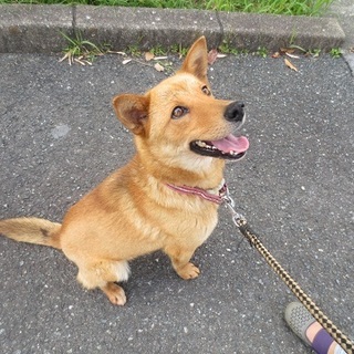 譲渡されました！！