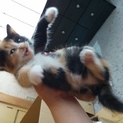 友達の家で、産まれた赤ちゃんです。