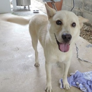 いつもニコニコお人好しのカイ君！