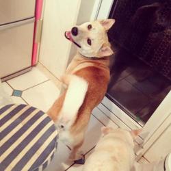 お帰り☆もぐたん