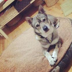 ひーくん☆もぐたんとうれしい