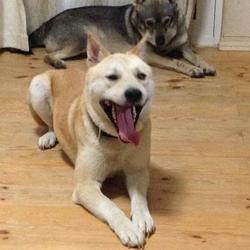 「ひーくん☆もぐたんとうれしい」サムネイル2