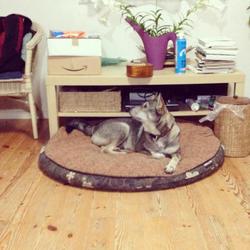 「ひーくん☆もぐたんとうれしい」サムネイル3