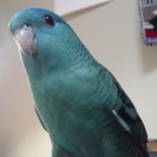 たくさんのご応募、感謝いたします！