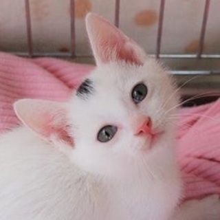 お家が決まりました☆こたろう君♡