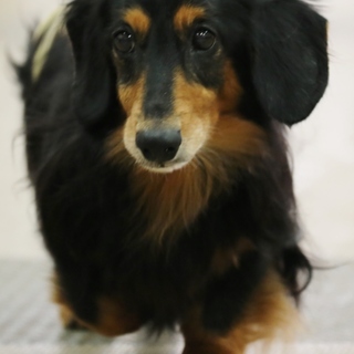 人見知りだけどいい子です☆