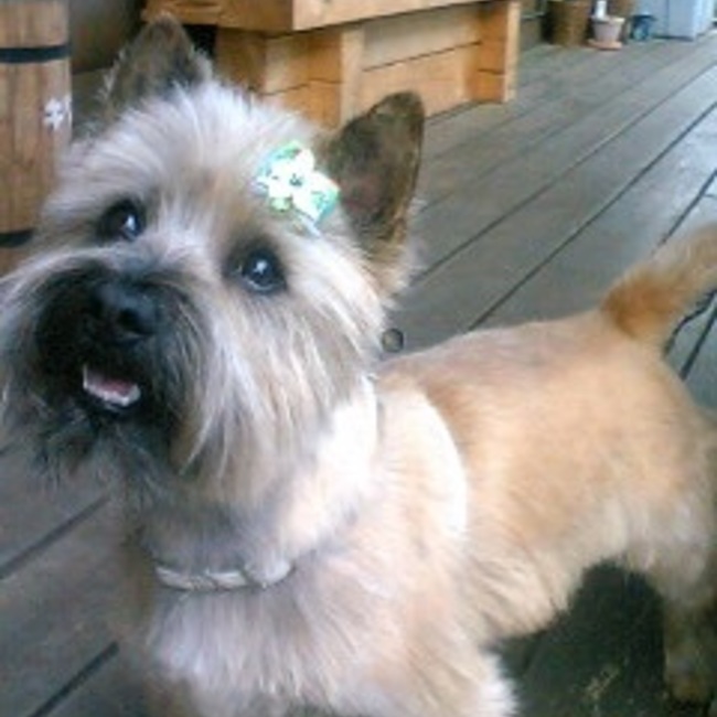 BARU2代目のカバー写真