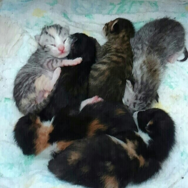 産まれたばっかりの時