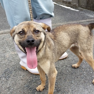 それぞれ譲渡されました！！