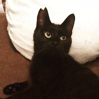 甘えん坊のルーナちゃん♡