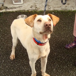 飼い主さんのお迎えがありました！！