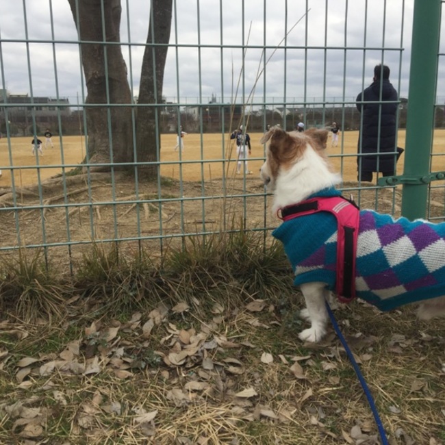 特定非営利活動法人LOVE＆PEACEのカバー写真