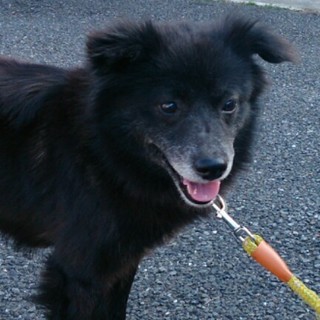 シャイなダンディボーイジュン君