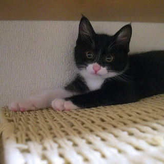 パーマン柄がチャームポイントのルーラ♡