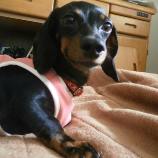 [ケメ]　１頭でまったりが好き