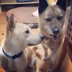 本日のイケメン達