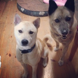 「本日のイケメン達」サムネイル2