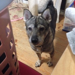 「本日のイケメン達」サムネイル3