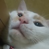 みぶう